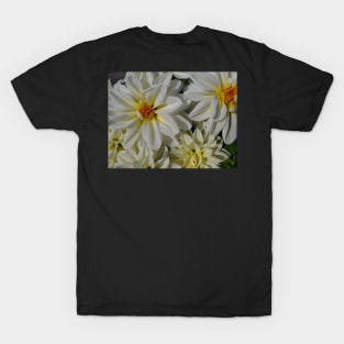 WHELLO FLOWERS PHOTOGRAPHY MY T-Shirt